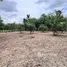  Land for sale in Sila, Khon Kaen, Sila