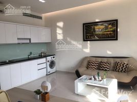 1 Bedroom Condo for rent at Golden King, Tan Phu