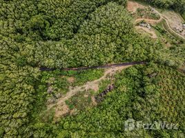  Land for sale in Phuket, Thep Krasattri, Thalang, Phuket