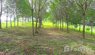 3 Bedrooms House for sale in Na Din Dam, Loei 