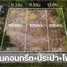  Земельный участок for sale in Bueng Nam Rak, Патумтани, Bueng Nam Rak, Thanyaburi, Патумтани