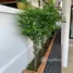 3 Bedroom House for rent at Baan Promphun Premium BeeTown, Pa Khlok, Thalang, Phuket, Thailand