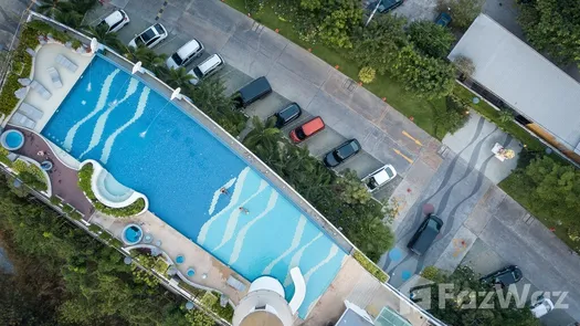 图片 1 of the Communal Pool at Supalai Mare Pattaya