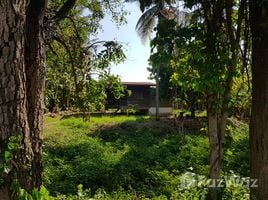  Terrain for sale in Uttaradit, Tha Sak, Phichai, Uttaradit