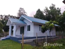 3 chambre Maison for sale in Doi Saket, Chiang Mai, Mae Pong, Doi Saket