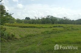  bedroom Land for sale at in Panama Oeste, Panama