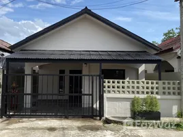 2 Schlafzimmer Haus zu verkaufen in San Sai, Chiang Mai, San Na Meng, San Sai, Chiang Mai