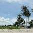  Land for sale in Koh Samui, Koh Samui