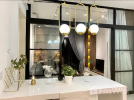 Studio Penthouse for rent at D'Festivo Residences, Ulu Kinta, Kinta, Perak