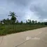 ขายที่ดิน ใน โป่ง, พัทยา, โป่ง, พัทยา, ชลบุรี