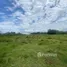 Terrain à vendre à San Felipe De Puerto Plata, Puerto Plata, San Felipe De Puerto Plata