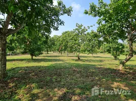  Land for sale in Chiang Rai, Tha Sai, Mueang Chiang Rai, Chiang Rai