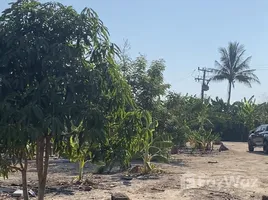 ขายที่ดิน ใน ทับใต้, หัวหิน, ทับใต้