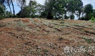 N/A Grundstück zu verkaufen in Bang Pit, Trat 