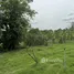  Land for sale in Mueang Nakhon Ratchasima Nakhon Ratchasima, Khok Sung, Mueang Nakhon Ratchasima, Nakhon Ratchasima