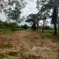  Land for sale in Choeng Thale, Phuket, Choeng Thale