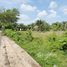  Land for sale in Thep Krasattri, Phuket, Thep Krasattri