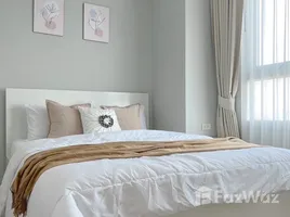 1 Bedroom Condo for rent at Rich Park at Chaophraya, Sai Ma, Mueang Nonthaburi, Nonthaburi, Thailand
