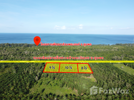  Land for sale in Chumphon, Pak Khlong, Pathio, Chumphon