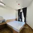 1 Bedroom Villa for rent in Man Thai, Da Nang, Man Thai