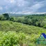 Terrain à vendre à San Felipe De Puerto Plata, Puerto Plata, San Felipe De Puerto Plata, Puerto Plata, République dominicaine