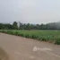  Land for sale in Khlong Muang, Nakhon Ratchasima, Khlong Muang, Pak Chong