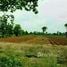  Land for sale in Wichian Buri, Phetchabun, Bo Rang, Wichian Buri