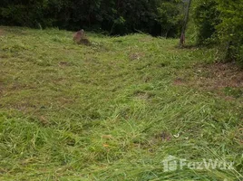  Terreno (Parcela) en venta en La Mesa, Cundinamarca, La Mesa