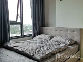 คอนโด 1 ห้องนอน ให้เช่า ในโครงการ เอสเซ็นท์ คอนโด, ฟ้าฮ่าม, เมืองเชียงใหม่