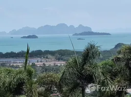  Grundstück zu verkaufen in Pa Khlok, Phuket, Pa Khlok, Thalang