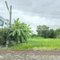 ขายที่ดิน ใน ลำลูกกา ปทุมธานี, คูคต