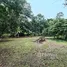 6 Bedroom House for sale in Guacimo Limon, Guacimo, Limon
