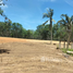  Land for sale in Thalang, Phuket, Pa Khlok, Thalang