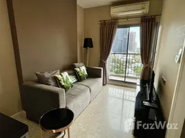 1 Bedroom Condo for rent at The Crest Sukhumvit 34, Khlong Tan, Khlong Toei, Bangkok, Thailand