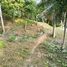  Land for sale in Thailand, Kathu, Kathu, Phuket, Thailand