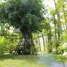 6 Schlafzimmer Villa zu verkaufen in Choeng Thale, Phuket, Choeng Thale, Thalang