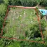  Земельный участок for sale in Phe, Районг, Phe