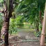 3 Bedroom House for rent in Luang Nuea, Chiang Mai, Luang Nuea, Doi Saket