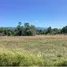  Land for sale in Phangnga, Khok Kloi, Takua Thung, Phangnga