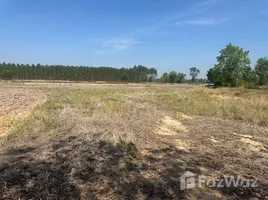 ขายที่ดิน ใน ยะวึก, สุรินทร์, ยะวึก, ชุมพลบุรี