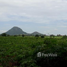  Land for sale in Lop Buri, Nikhom Lam Narai, Chai Badan, Lop Buri