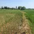  Land for sale in Um Chan, Sakon Nakhon, Um Chan