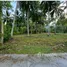  Land for sale in Koh Samui Surat Thani, Maenam