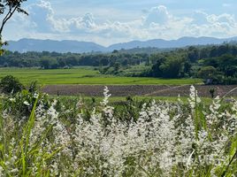 ขายที่ดิน ใน ป่าซาง, เชียงราย, ป่าซาง, แม่จัน