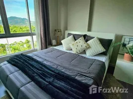 Studio Condo for rent at D Condo Mine, Kathu, Kathu, Phuket, Thailand