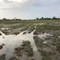  Land for sale in Prachin Buri, Bang Decha, Mueang Prachin Buri, Prachin Buri