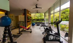 图片 2 of the Communal Gym at The Trees Residence