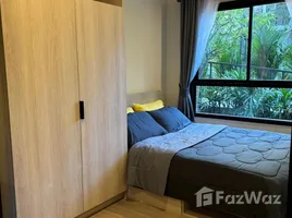 1 Bedroom Condo for rent at Dcondo Reef Phuket, Kathu, Kathu, Phuket, Thailand