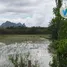  Terreno (Parcela) en venta en Makok Nuea, Phatthalung, Makok Nuea, Khuan Khanun