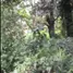  Terreno (Parcela) en venta en Antipolo City, Calabarzon, Antipolo City, Rizal